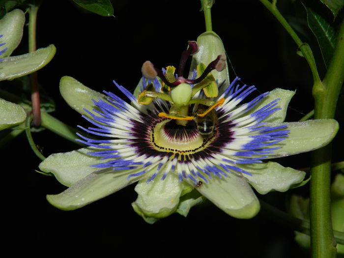 DSCN8568 - SEPTEMBRIE_2014