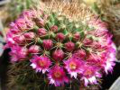 HPREUZQJXLEYDHGOWGS - xo_Flori_xo