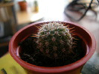 IHTBFFNZWPOQSVAOIAG - xo_Flori_xo