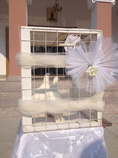  - Porumbei albi pentru nunti