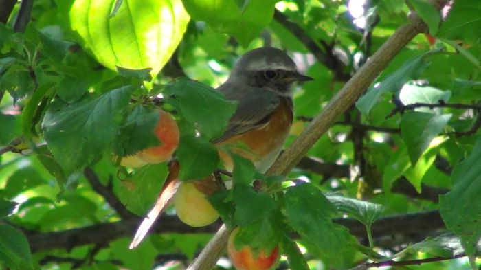 fugeau doar daca ne miscam brusc