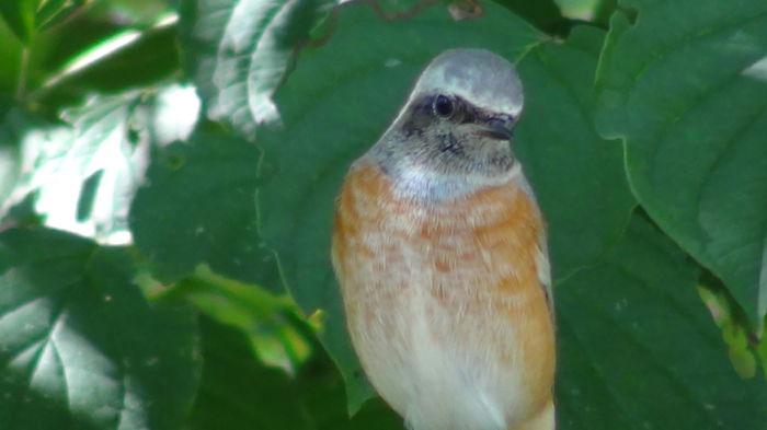 alteori statea in acelasi loc minute in sir