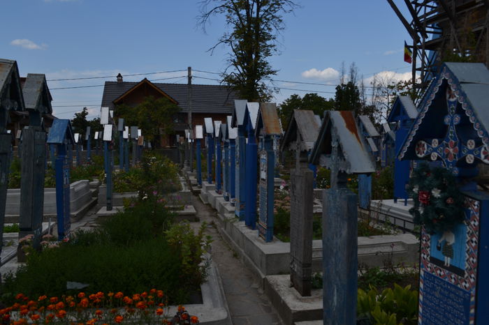 DSC_0050 - Cimitirul Vesel