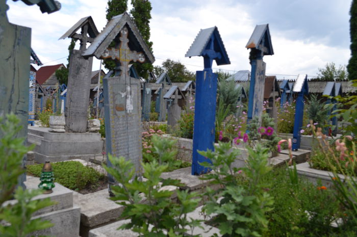 DSC_0057 - Cimitirul Vesel