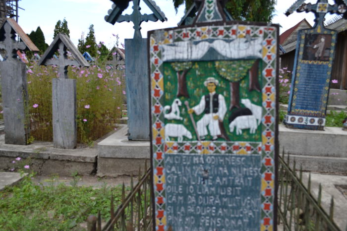 DSC_0064 - Cimitirul Vesel