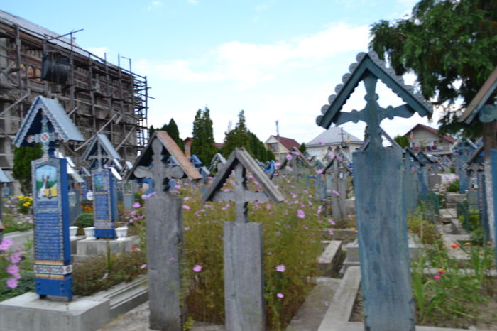 DSC_0072 - Cimitirul Vesel