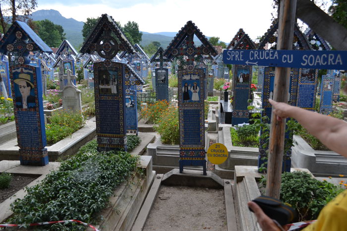 DSC_0110 - Cimitirul Vesel