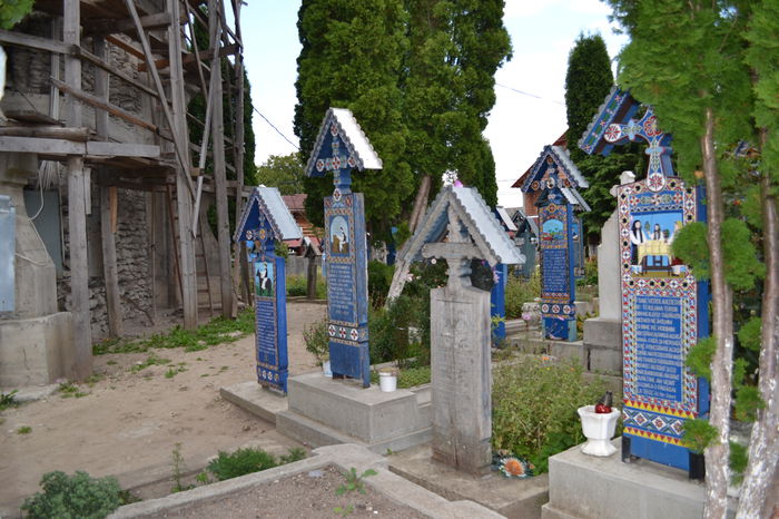 DSC_0185 - Cimitirul Vesel