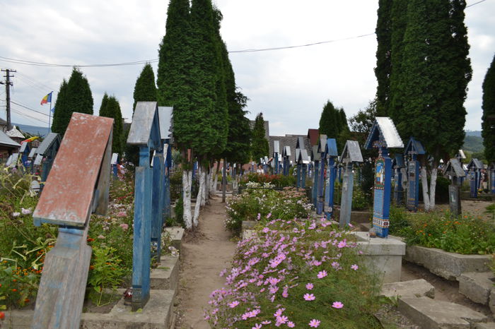 DSC_0197 - Cimitirul Vesel