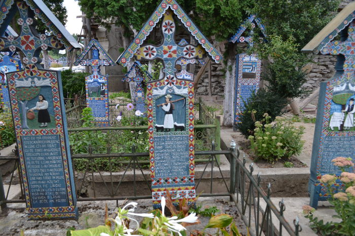 DSC_0205 - Cimitirul Vesel