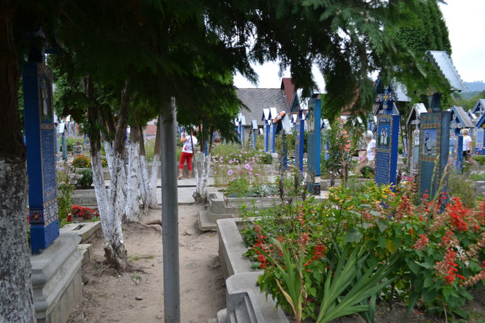 DSC_0207 - Cimitirul Vesel