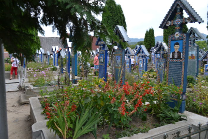 DSC_0209 - Cimitirul Vesel