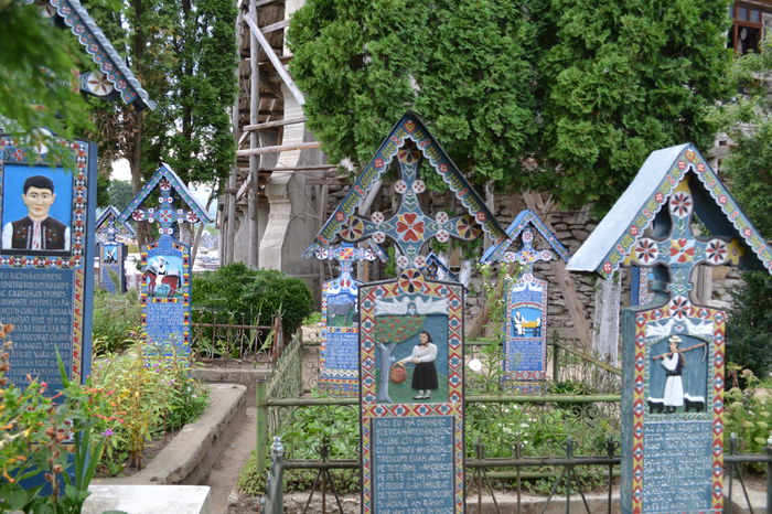 DSC_0210 - Cimitirul Vesel