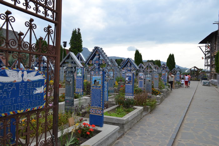 DSC_0230 - Cimitirul Vesel