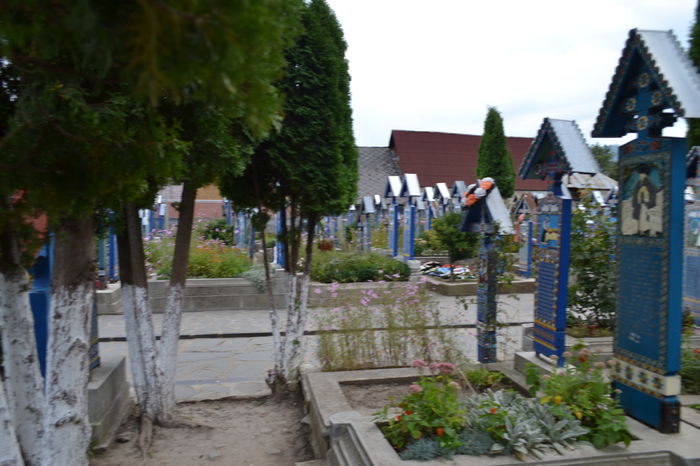 DSC_0217 - Cimitirul Vesel