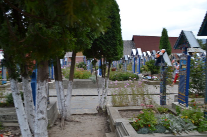 DSC_0218 - Cimitirul Vesel