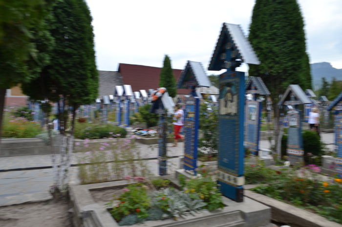 DSC_0219 - Cimitirul Vesel