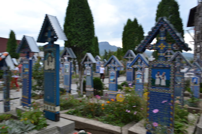 DSC_0220 - Cimitirul Vesel