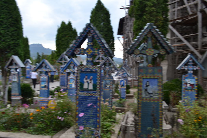 DSC_0221 - Cimitirul Vesel