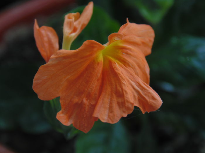 DSC07676