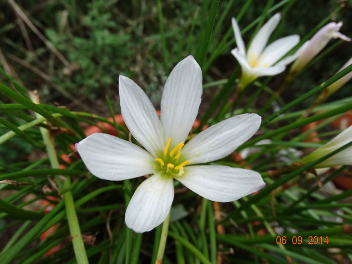 DSC07570