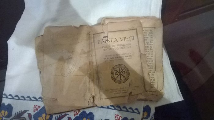 WP_20140906_071 - Memorialu de la SIGHET