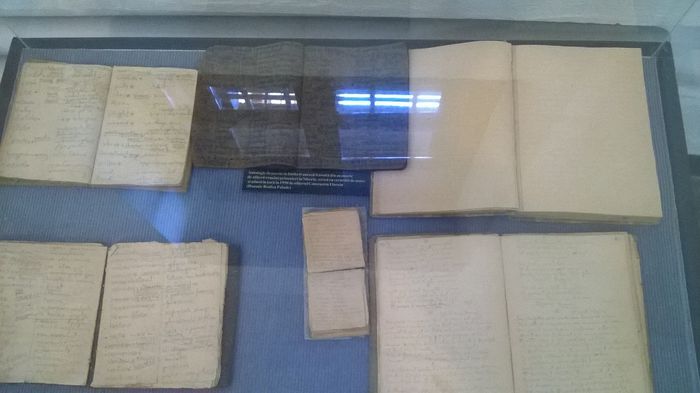 WP_20140906_086 - Memorialu de la SIGHET