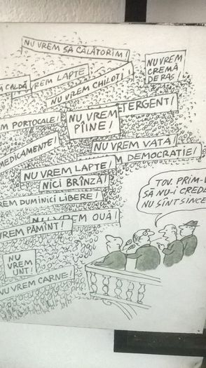 WP_20140906_123 - Memorialu de la SIGHET