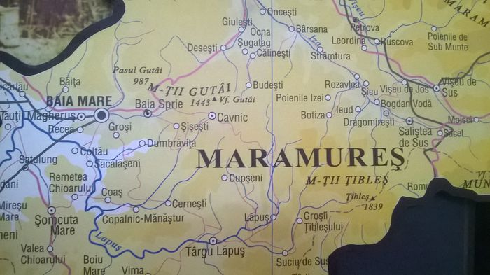 WP_20140906_148 - Memorialu de la SIGHET