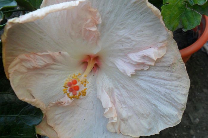 gina marie -a treia zi