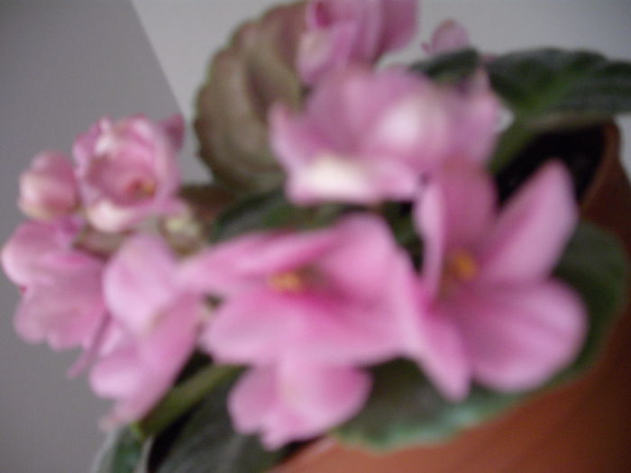 DSCF1340