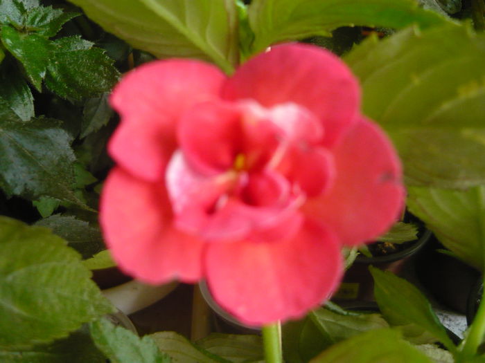 P1070511