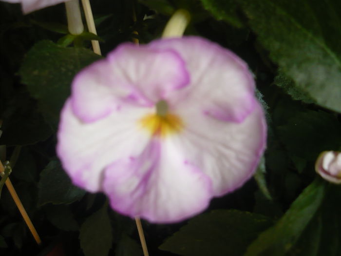 P1070521