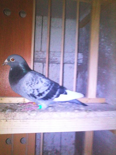 IMG_20140910_200455_1