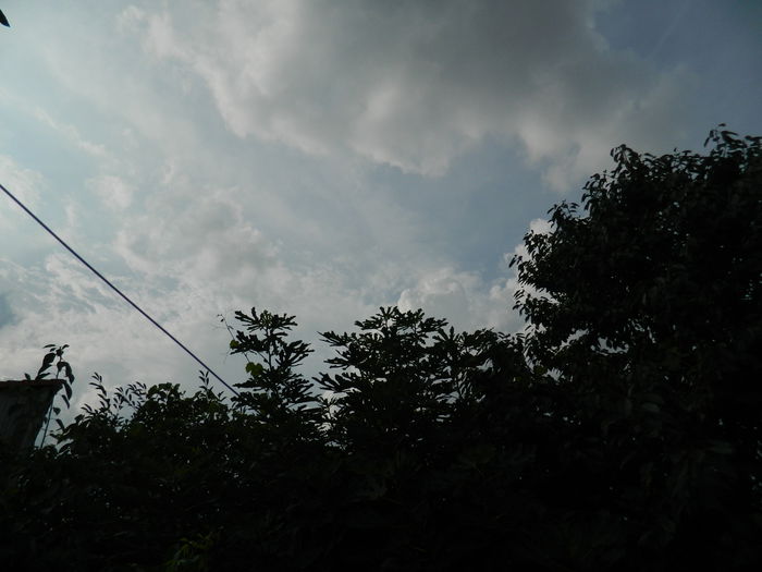 DSCN8833 - SEPTEMBRIE_2_2014