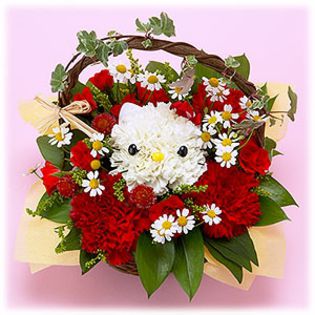 845_cosulet pisicuta