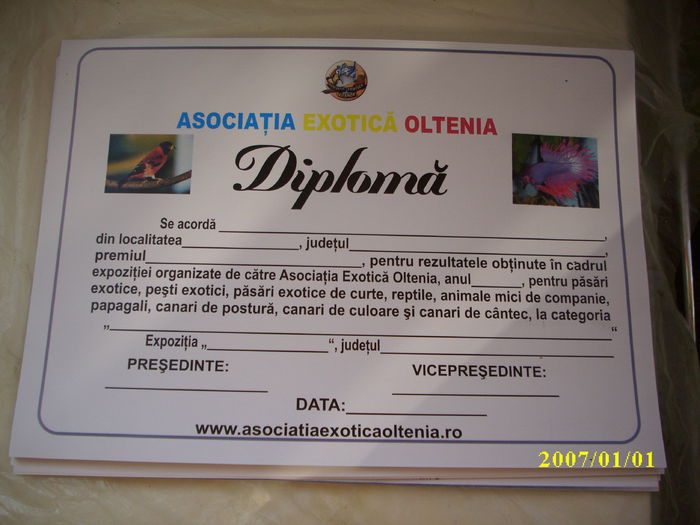 DIPLOMA-AEO-EXPO-2014 - ASOCIATIA EXOTICA OLTENIA