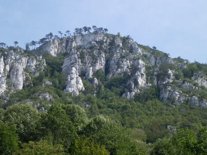 peisaj  Baile Herculane - Peisaje