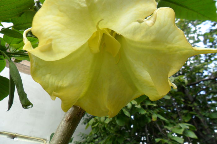 Picture 678 - talmes-balmes2014