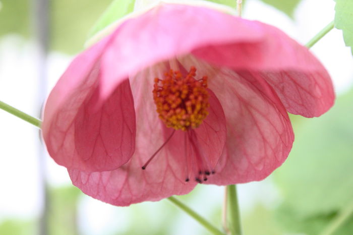 IMG_3384 - 2014 septembrie