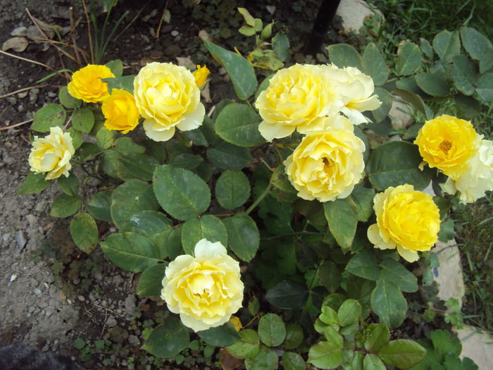 DSC03400