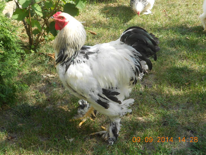 DSCN1357