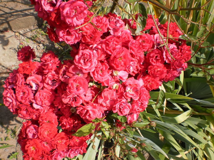 P9120854