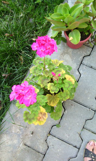 IMG_20140908_150942