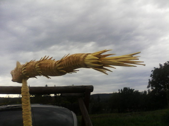 IMG_20140906_102412 - poze sculpturi