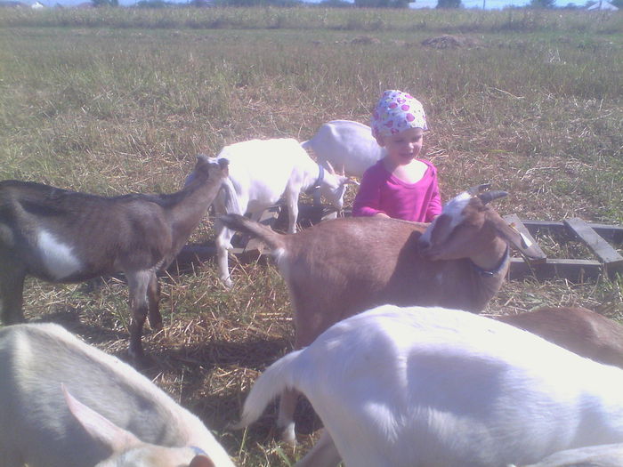 IMG_20140831_104512 - Copy