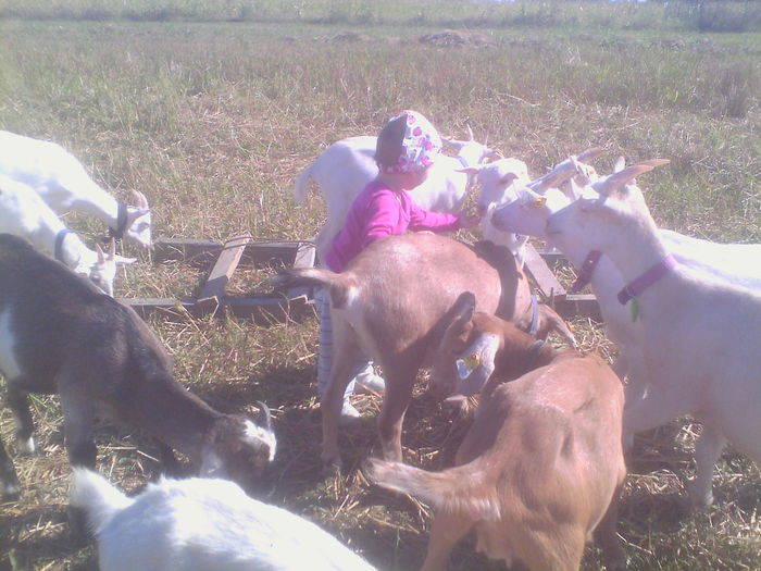 IMG_20140831_104528 - Copy