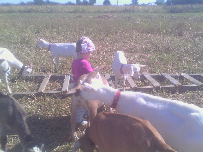 IMG_20140831_104535 - Copy