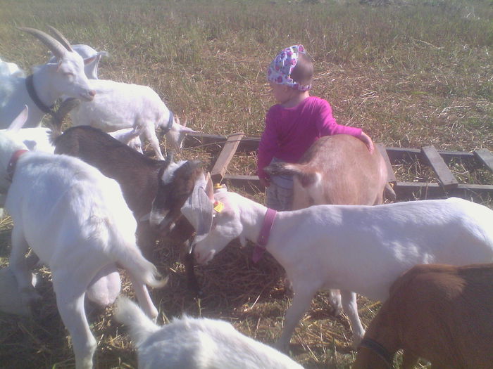 IMG_20140831_104544 - Copy