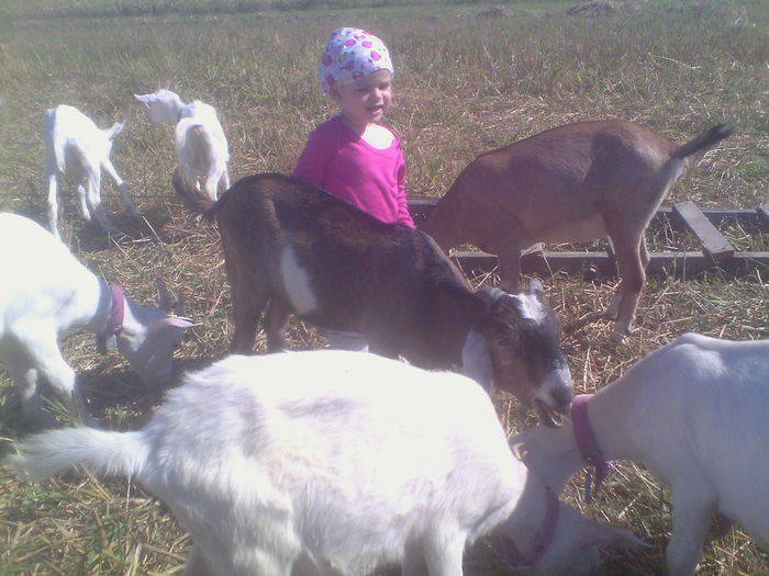 IMG_20140831_104604 - Copy